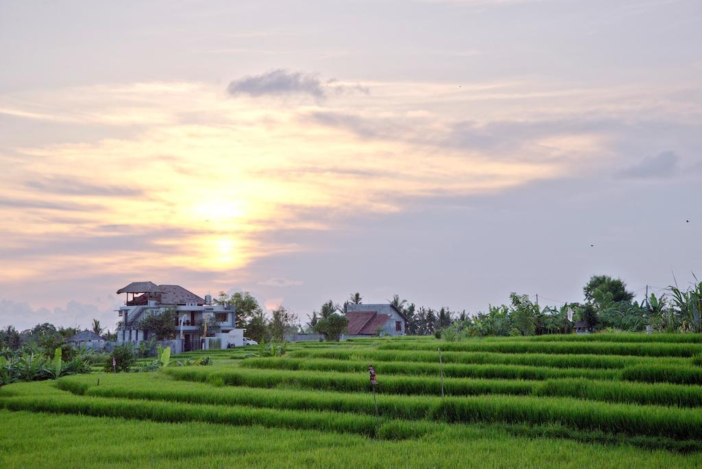 Paddy View Villa Kuta Lombok Eksteriør billede