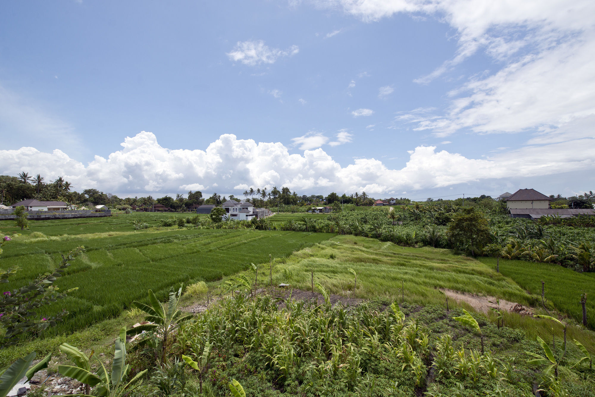 Paddy View Villa Kuta Lombok Eksteriør billede