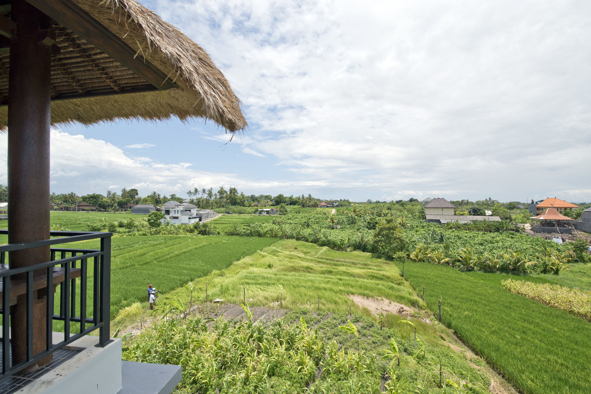 Paddy View Villa Kuta Lombok Eksteriør billede